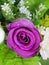 Fake purple rose flowers with artificial water drop.