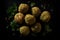 Falafel Balls, Fried Chickpea Balls, Traditional Falafels on Dark Background, Abstract Generative AI Illustration