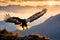 Falcon or eagle flying high altitude on mountain snow ai generated