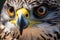 Falcon Elegance: A Captivating Close-Up Snapshot Revealing the Grace and Precision of a Majestic Bird of Prey.GenerativeAI.