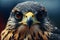 Falcon Elegance: A Captivating Close-Up Snapshot Revealing the Grace and Precision of a Majestic Bird of Prey.GenerativeAI.