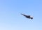 Falcon fighter jet military flying on blue sky