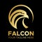 Falcon logo. Gold head of eagle circle symbol .