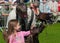 Falconer and girl at Westmorland Show