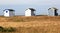 Fales in dunes of Falsterbo near Swedish Hovbacken