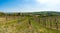 Falkenstein Church and village in Weinviertel, Lower Austria during summer