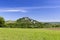 Falkenstein ruins and town with vineyard, Lower Austria, Austria