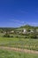 Falkenstein ruins and town with vineyard, Lower Austria, Austria