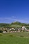 Falkenstein ruins and town with vineyard, Lower Austria, Austria