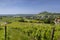 Falkenstein ruins and town with vineyard, Lower Austria, Austria