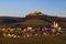 Falkenstein ruins and town with vineyard, Lower Austria, Austria