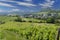 Falkenstein ruins and town with vineyard, Lower Austria, Austria