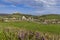 Falkenstein ruins and town with vineyard, Lower Austria, Austria