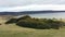 Falkland Islands` summer - Gorse bushes
