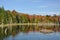 Fall at an Adirondack Beaver Pond