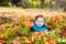 Fall. Adorable child boy with leaves in autumn park