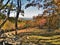 Fall along black ridge trail