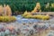 Fall Aspens Along a Wyoming River