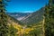 Fall Aspens at Guanella Pass in Colorado