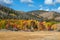 Fall Aspens of Wyoming