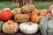 Fall assortment of pumpkins on long table at outdoor market