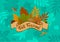 Fall autumn forest leaf festival background with vintage badge on foliage texture