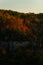 Fall / Autumn Forests - Red River Gorge Geological Area - Appalachian Mountains - Kentucky