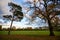 Fall autumn trees in Blake Recreation Ground in West Wickham, Kent, UK