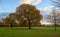 Fall autumn trees in Blake Recreation Ground in West Wickham, Kent, UK