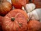 Fall And Autumn Unique Decor Pumpkins  And Gourds