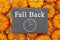 Fall Back 1 hour time change message on a chalkboard sign on pumpkins
