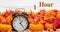 Fall Back 1 hour time change message with a retro alarm clock with pumpkins and fall leaves