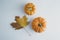 Fall background maple leaves with orange pumpkins white background with copy space, autumn