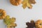 Fall background maple leaves with orange pumpkins white background with copy space, autumn
