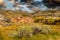 Fall in the badlands. Midland Provincial Park, Alberta, Canada