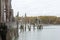 Fall, Bare Cove Park with Cormorants on old dock pilings