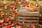 Fall Basket in the Leaves