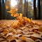 Fall beauty Yellow and colorful leaves scattered on the autumn ground