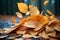 Fall beauty Yellow and colorful leaves scattered on the autumn ground