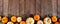 Fall bottom border of pumpkins and leaves against a dark wood banner background