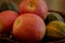 Fall bounty of apples and gourds