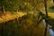 Fall, calm river in the park surrounded by old lindens. Autumn warm evening, ducks swim in the pond, selective focus, walks in the