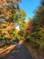 Fall at Campbells Covered Bridge