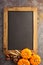 Fall chalkboard copy space with pumpkins