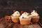 Fall cinnamon pecan cupcakes with creamy frosting against rustic wood