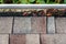 Fall cleaning, rooftop view of gutter full of leaves and standing water