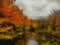 Fall color along the Betsie River in Michigan.