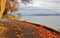 Fall Color, Autumn leaves, City Landscape in Stanley Paark, Downtown Vancouver, British Columbia