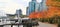 Fall Color, Autumn leaves in Coal Harbour, Downtown Vancouver, British Columbia