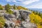 Fall Color at Bear Rocks
